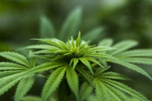 drug crimes lawyer in Fairfax, VA